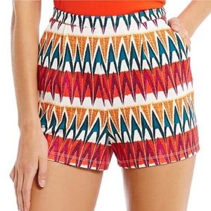 🔥NWOT Gianni Bini Chevron Short